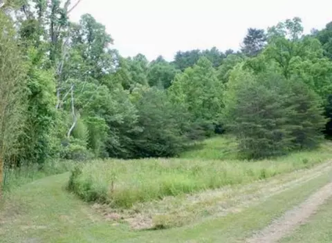 tbd Harts Crossing Way, Del Rio, TN 37727
