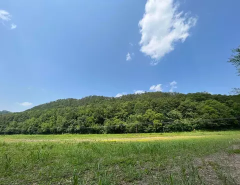 00 E Highway 25-70, Del Rio, TN 37727