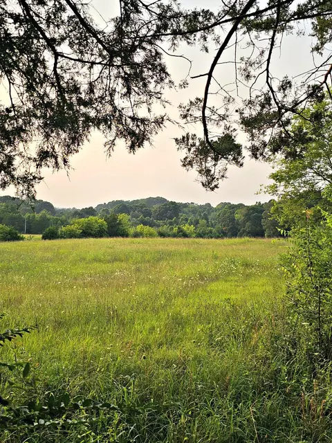 Tract 3 Wells Spring Road, Dandridge, TN 37725