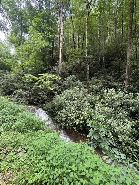 000 Lots 12 13 14 Butler Branch Rd, Gatlinburg, TN 37738