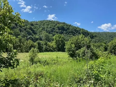 029 03 Hatfield Rd, Tazewell, TN 37879