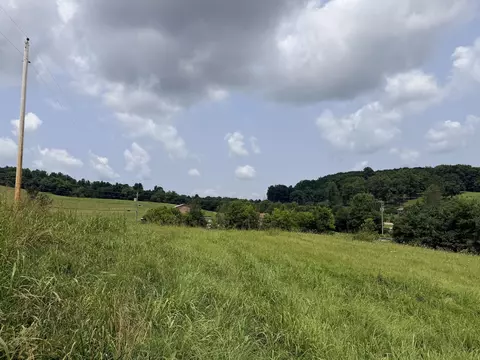 1665 Cosby Hwy, Newport, TN 37821