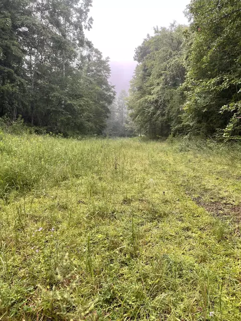 tbd Bullen Valley Rd, Thorn Hill, TN 37881