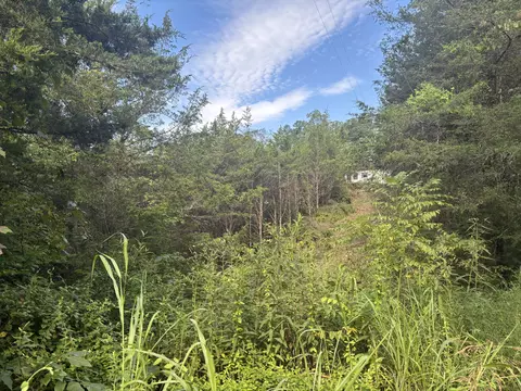 2854 Mountain Rd, Whitesburg, TN 37891