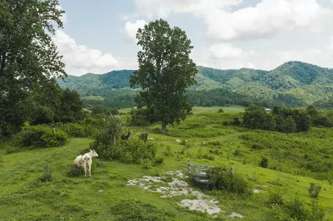 1430 Clinch Valley Rd, Sneedville, TN 37869