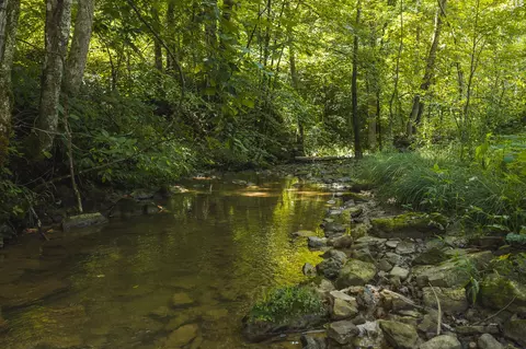 0000 Snake Hollow Rd, Sneedville, TN 37869