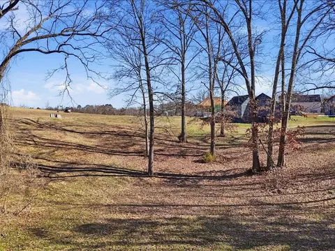 141 Red Cloud Ln, Rutledge, TN 37861 photo 15