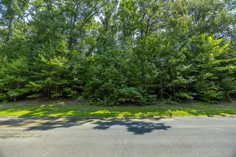 lot8 Cove Springs Dr, Dandridge, TN 37725