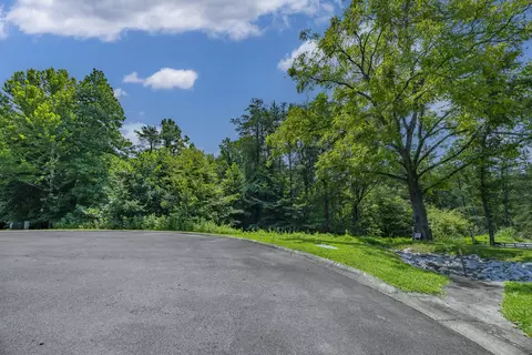 lot17 Cove Springs Dr, Dandridge, TN 37725