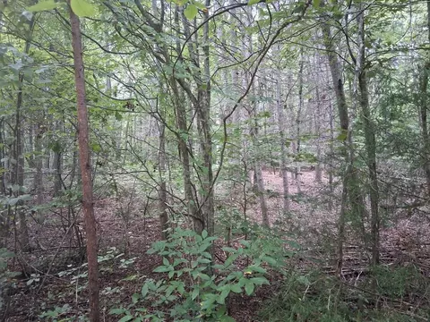 125 Zuni Way, Del Rio, TN 37727