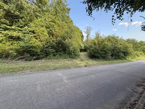 00 Secluded River Cir, Parrottsville, TN 37843
