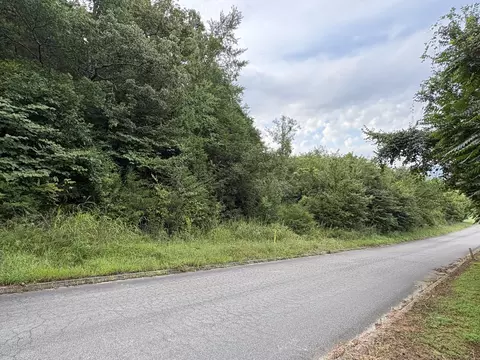 00 Secluded River Cir, Parrottsville, TN 37843