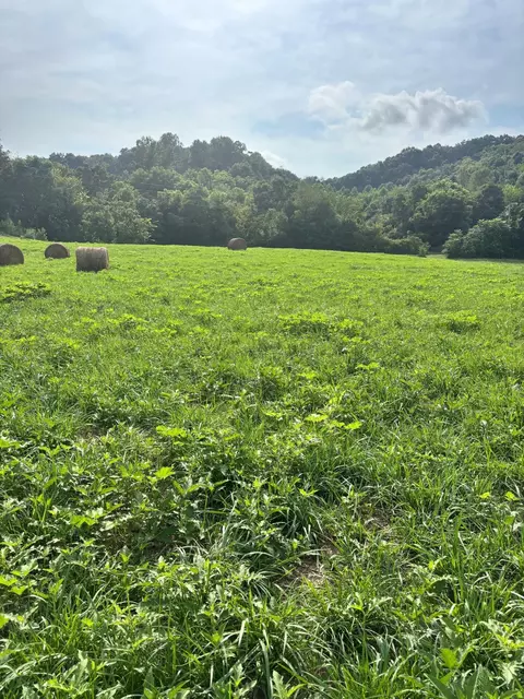 lot1 Mcbride Rd, Morristown, TN 37814