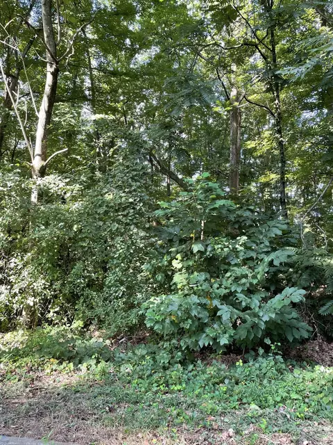 4013 Eagles Nest Dr, Morristown, TN 37813