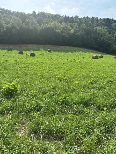 lot2 Mcbride Rd, Morristown, TN 37814
