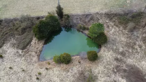 312 Adams Ln, Mooresburg, TN 37811