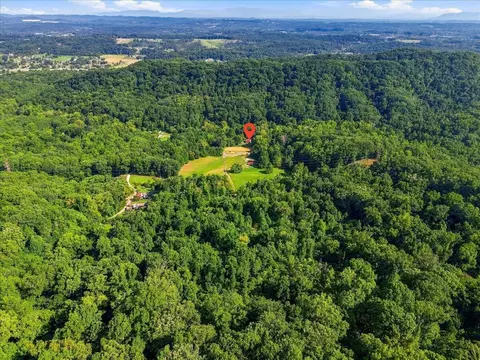 View/Area - 9705 Hogskin Rd, Corryton, TN 37721 photo 1 of 4