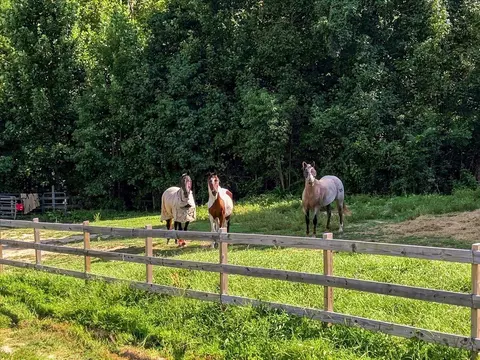 Other - 9705 Hogskin Rd, Corryton, TN 37721 photo 12 of 16