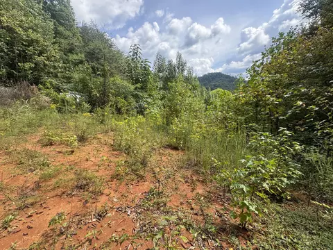 tbd Black Feet Way, Del Rio, TN 37727
