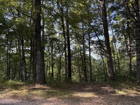 lot5 Oakwood Rd, Walland, TN 37886