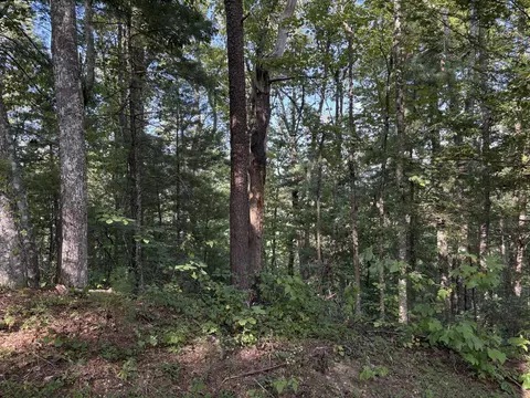 lot7 Oakwood Rd, Walland, TN 37886