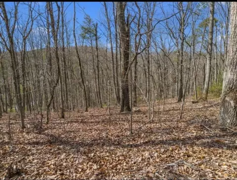 0 Pecan Tree Ln, Newport, TN 37821
