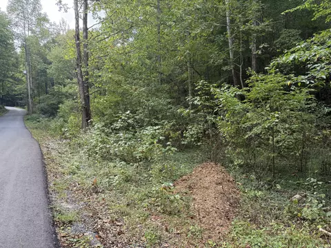 lot13 14 Speedwell Chuch Rd, Bulls Gap, TN 37711