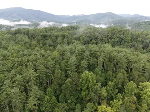 410 Seay Hollow Rd, Del Rio, TN 37727