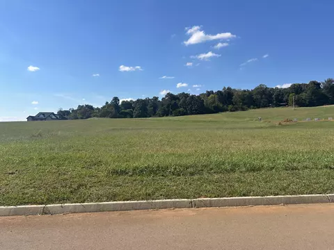 lot80 Meadow Vista Way, White Pine, TN 37890