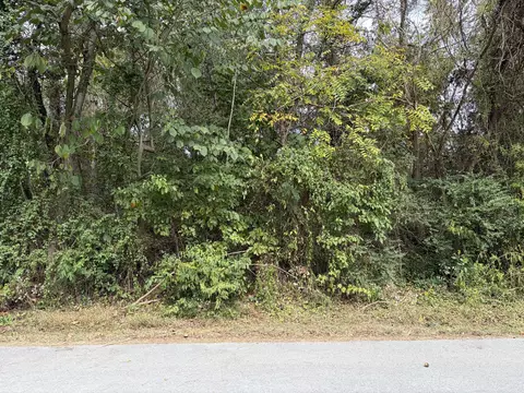 lot63 64 Rita Ct, Bean Station, TN 37708