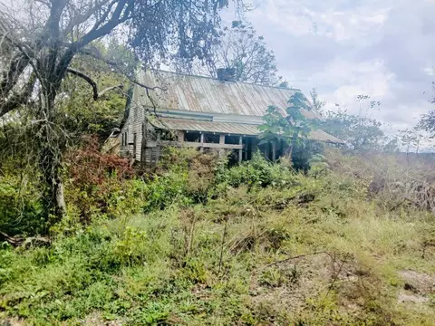 316 Reese Rd, Rutledge, TN 37861
