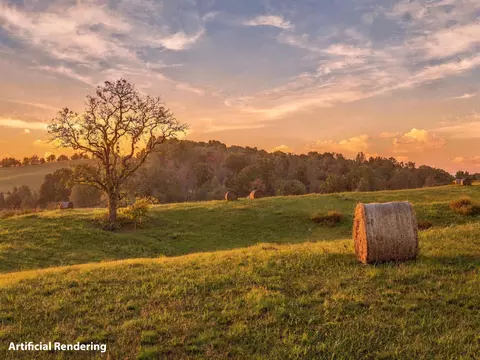 1709 Mullins Rd, Russellville, TN 37860
