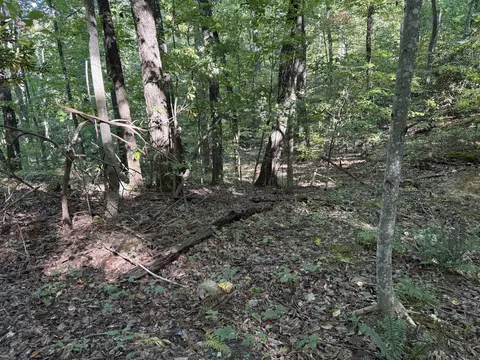 0 Luna Way, Parrottsville, TN 37843