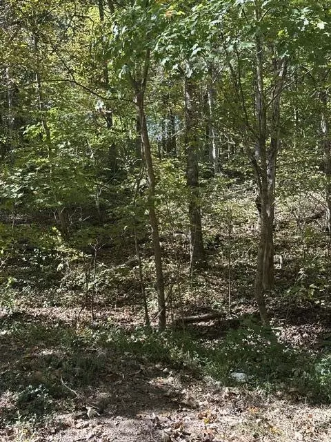 lot1 2 Anderson Bnd, Russellville, TN 37860