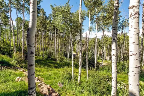 732 Forest Trl, Edwards, CO 81632 photo 28