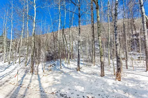 2965 Manns Ranch Rd, Vail, CO 81657 photo 9