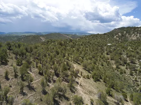 55 Horton St, Eagle, CO 81631 photo 50