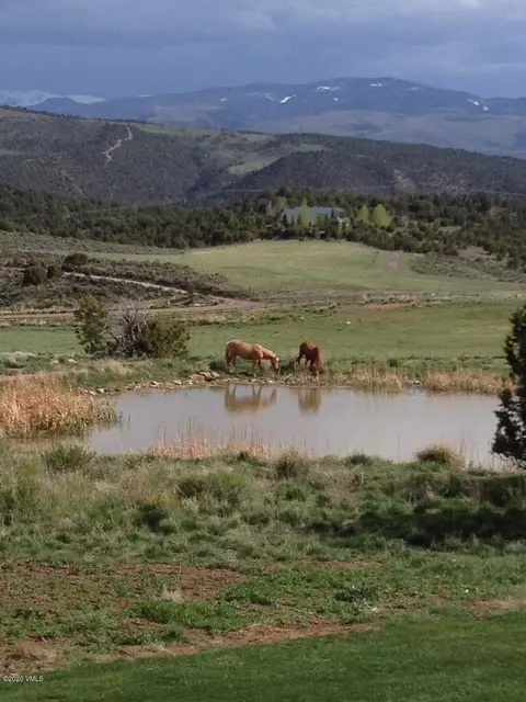 1005 Castle Peak Ranch Rd, Eagle, CO 81631 photo 43