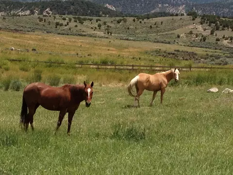 1005 Castle Peak Ranch Rd, Eagle, CO 81631 photo 44