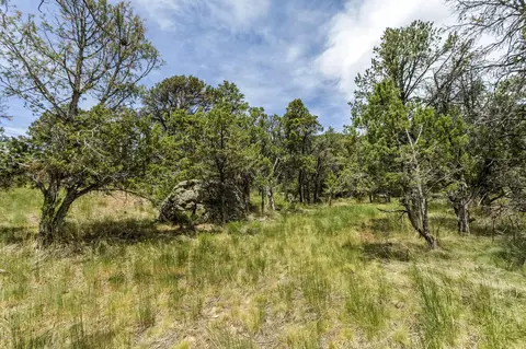 1005 Castle Peak Ranch Rd, Eagle, CO 81631 photo 41