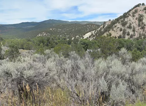387 Castle Peak Rd, Eagle, CO 81631 photo 48