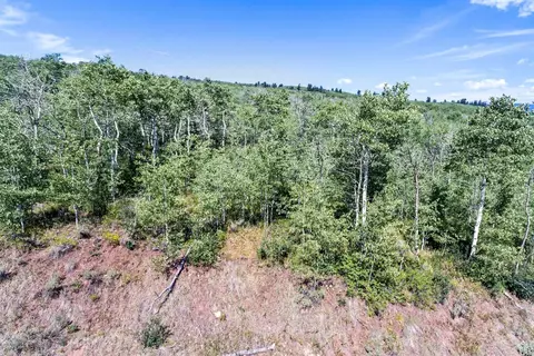 175 Setting Sun Ln, Wolcott, CO 81655 photo 22
