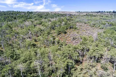 175 Setting Sun Ln, Wolcott, CO 81655 photo 20