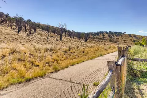 122 Ring Nck, Eagle, CO 81631 photo 27