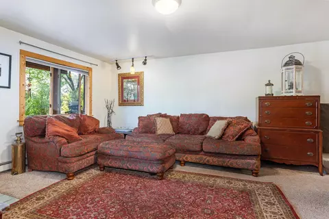 756 Eby Creek Rd, Eagle, CO 81631 photo 17