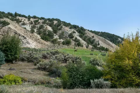 756 Eby Creek Rd, Eagle, CO 81631 photo 32