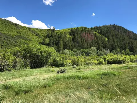 0355 Squires Ln, Eagle, CO 81631 photo 5