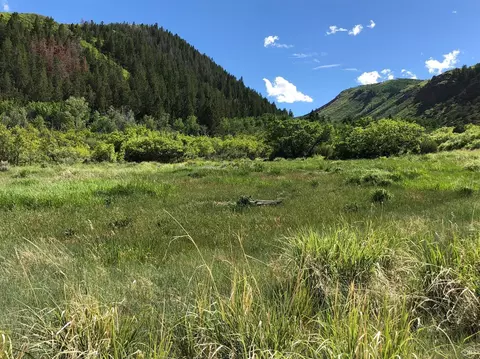 0355 Squires Ln, Eagle, CO 81631 photo 3
