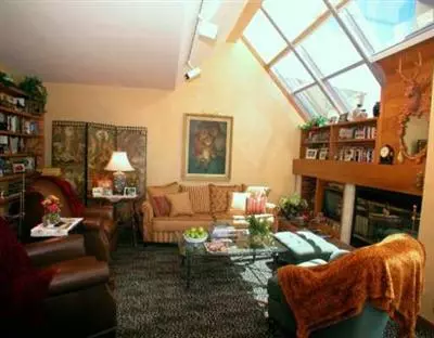 770 Potato Patch Dr #1, Vail, CO 81657 photo 3