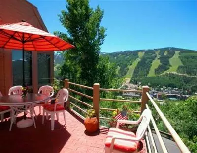 770 Potato Patch Dr #1, Vail, CO 81657 photo 2